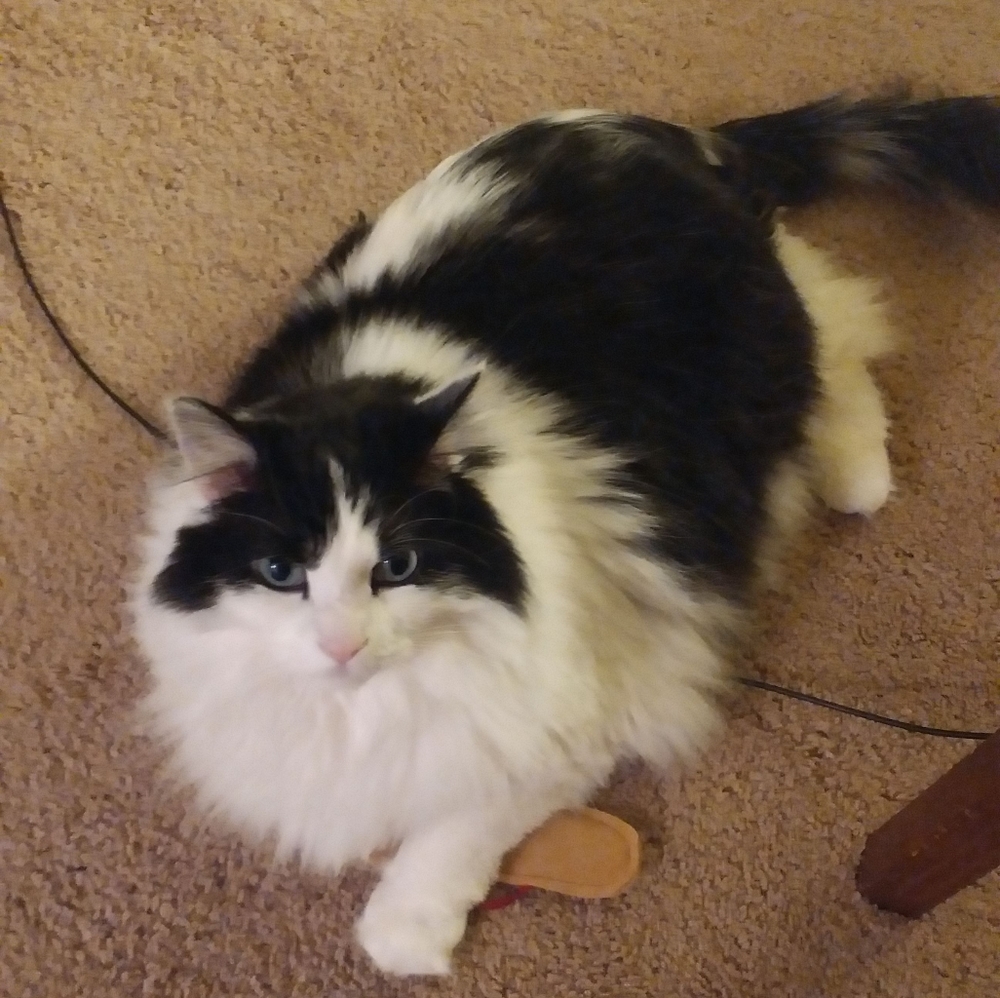 Meet your Posher, Lo